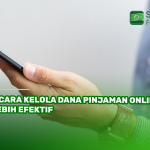 5 Cara Kelola Dana Pinjaman Online Lebih Efektif