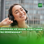 Langganan VIP Musik, Kebutuhan atau Kemewahan?