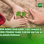 Bikin Adem dan Asri, Yuk Tanam 5 Jenis Pohon yang Cocok untuk di Halaman Rumah!