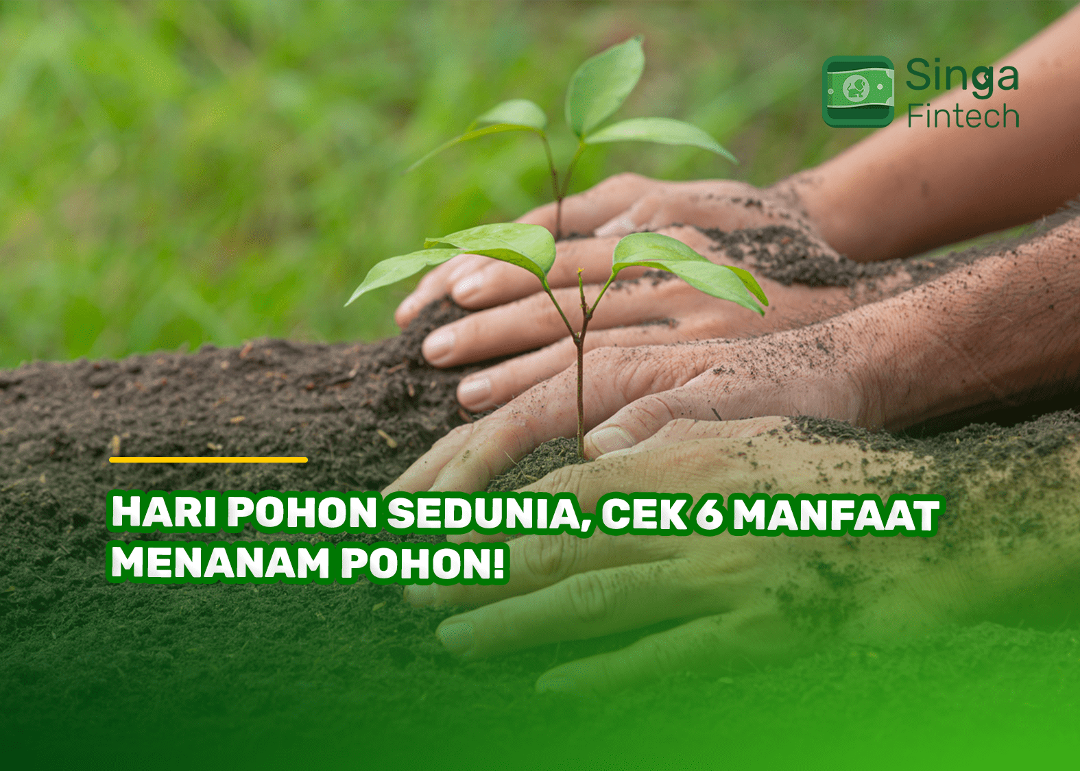 Hari Pohon Sedunia, Cek 6 Manfaat Menanam Pohon!