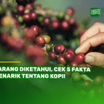 Jarang Diketahui, Cek 5 Fakta Menarik tentang Kopi!