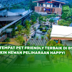 5 Tempat Pet Friendly Terbaik di BSD, Bikin Hewan Peliharaan Happy!