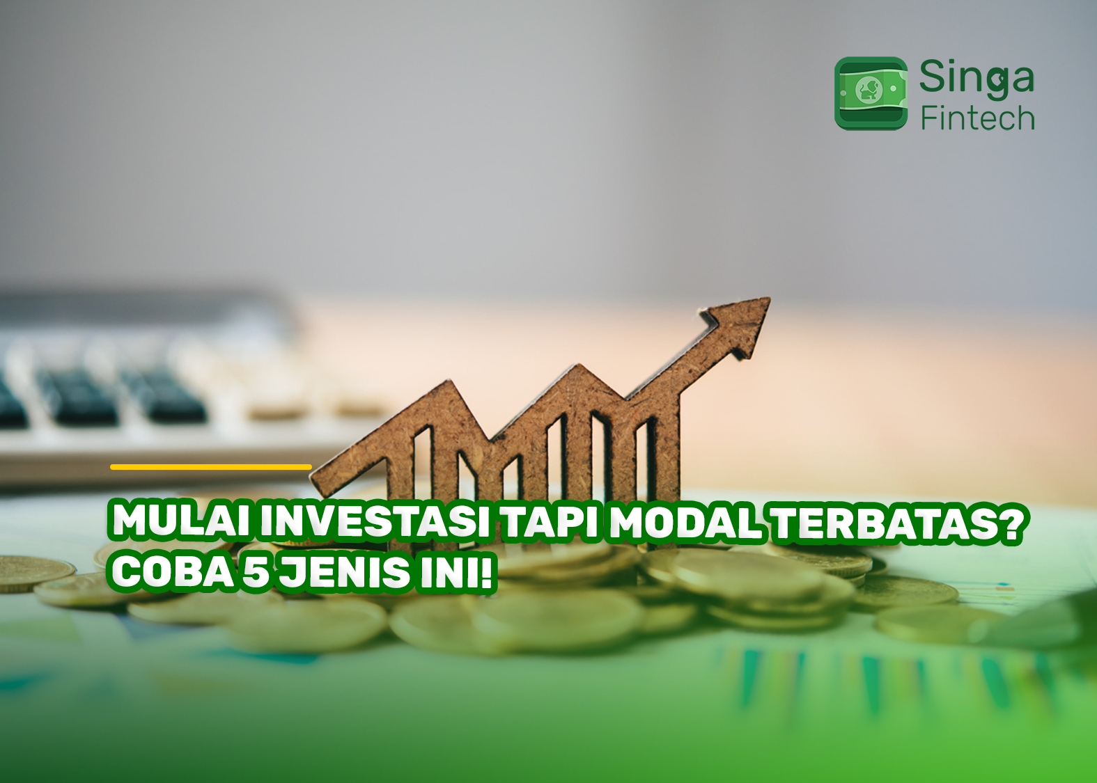 Mulai Investasi Tapi Modal Terbatas? Coba 5 Jenis Ini!