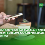 Singa Fintech Agar Tak Terjebak Masalah, Cek 5 Hal Ini Sebelum Ajukan Pinjaman Daring!
